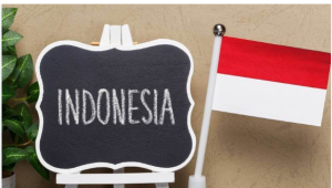 cam on va xin chao trong tieng indonesia - Translation.vn